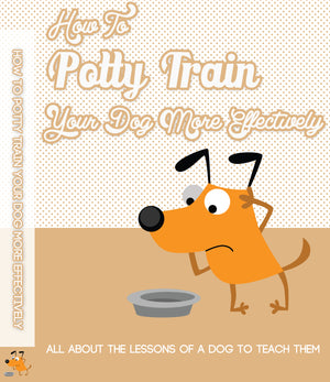 How To Potty Train Your Dog More Effectively